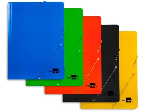 37510 CARPETA LIDERPAPEL GOMAS CARTON PLASTIFICADO SOLAPA